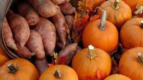 高尿酸吃脆瓜好吗,健康饮食新选择 第2张 高尿酸吃脆瓜好吗,健康饮食新选择 第2张