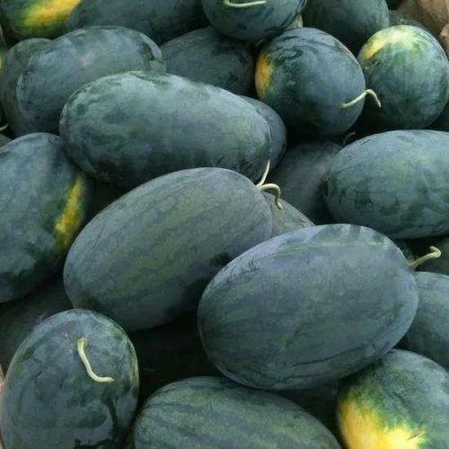 潞潞吃瓜,揭秘娱乐圈那些不为人知的幕后故事  第2张