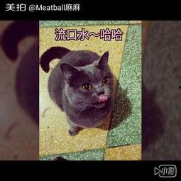 小可怜吃瓜视频  第2张