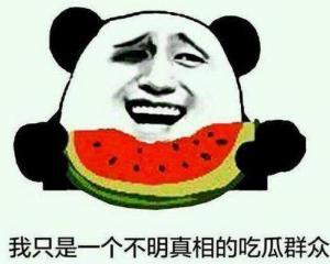 不明真相的吃瓜嗨氏,网络红人的崛起与争议  第2张