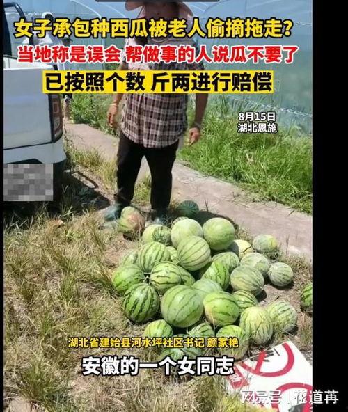 恩施吃瓜事件视频最新,一场引发全网热议的乡村奇闻 第2张 恩施吃瓜事件视频最新,一场引发全网热议的乡村奇闻 第2张