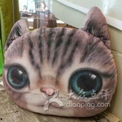 带你吃瓜胖猫,带你领略“带你吃瓜胖猫”的独特魅力  第3张