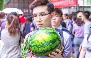 吃瓜人人小组  第2张