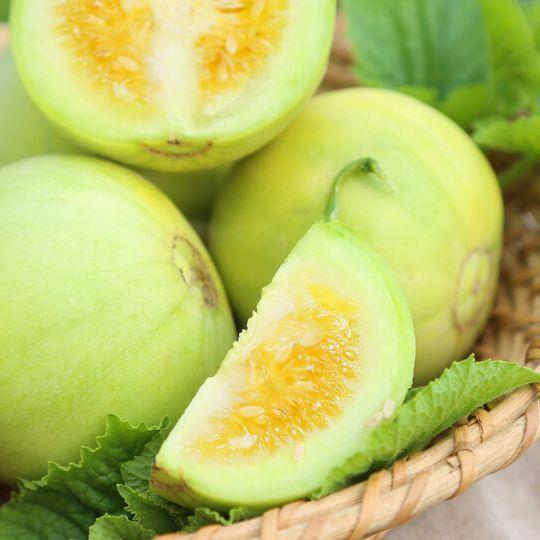 崔庄吃瓜,揭秘乡村生活的酸甜苦辣  第3张