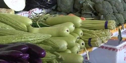 丑瓜吃吗种子可以吃吗,揭秘可食用之谜