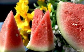 吃瓜基地a3,探寻神秘瓜果乐园的奥秘