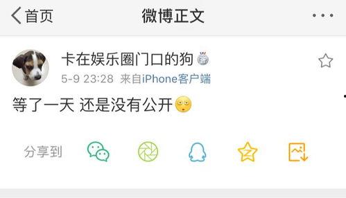 爆料吃瓜投稿,独家爆料，吃瓜群众投稿大揭秘  第3张