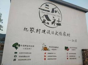 合肥华英专升本吃瓜,吃瓜群众眼中的真实内幕  第3张