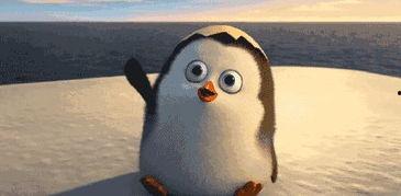 带你吃瓜奇葩企鹅,企鹅界的“奇葩”美食探险  第3张