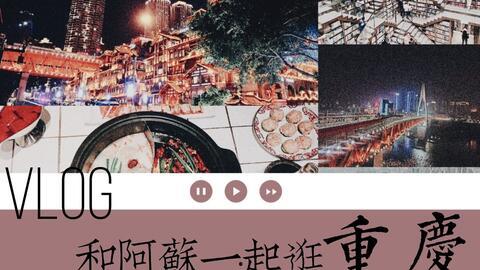 日常吃瓜少女vlog,揭秘娱乐圈幕后故事  第2张