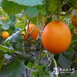 瑞红瓜怎么吃,解锁美味新体验  第2张