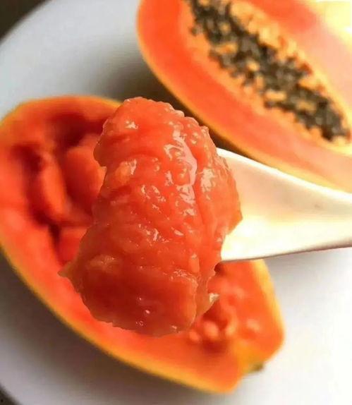 雷州吃瓜,夏日消暑必备——雷州吃瓜文化探秘 第1张 雷州吃瓜,夏日消暑必备——雷州吃瓜文化探秘 第1张