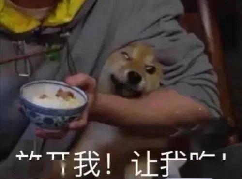 带你吃瓜医生的字,揭秘医生那些不为人知的趣事 第1张 带你吃瓜医生的字,揭秘医生那些不为人知的趣事 第1张