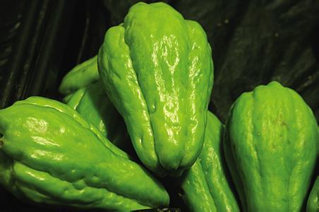 佛手瓜可以炸吃吗,香脆炸佛手瓜,美味又健康 第1张 佛手瓜可以炸吃吗,香脆炸佛手瓜,美味又健康 第1张