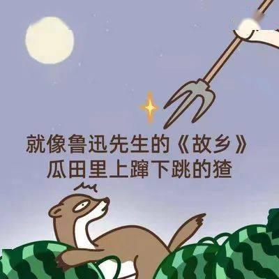 锤子吃瓜,一场别开生面的夏日狂欢  第2张