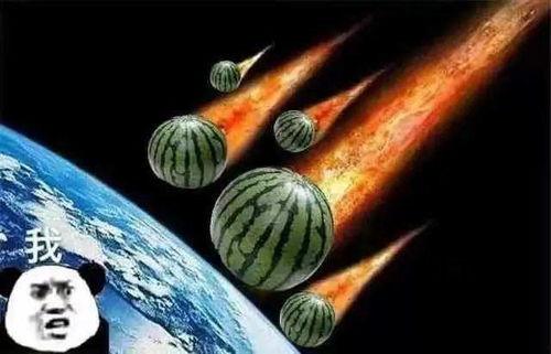 锤子吃瓜,一场别开生面的夏日狂欢  第3张