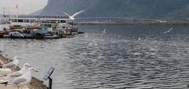 昆明海埂大坝吃瓜,夏日炎炎，吃瓜群众欢乐多