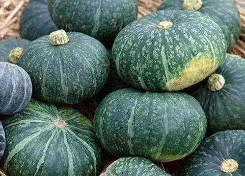 老北京吃瓜指南,一网打尽京城夏日消暑美食