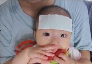 孩子发烧可以吃瓜吗,西瓜，可以还是不宜？  第2张