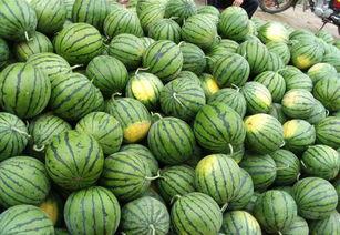 吃瓜群众属于什么效应,揭秘网络围观效应背后的心理奥秘 第3张 吃瓜群众属于什么效应,揭秘网络围观效应背后的心理奥秘 第3张