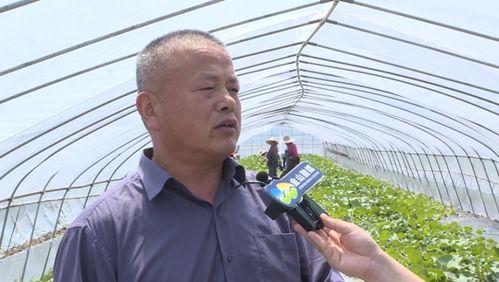 吃瓜群众 老谭  第2张