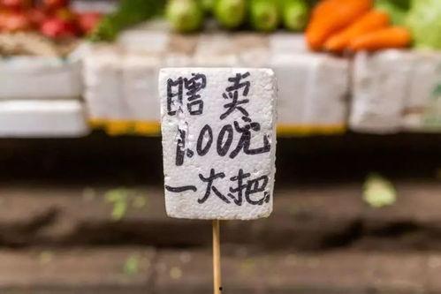 村头吃瓜大妈文案  第2张