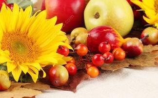 秋天吃酉瓜好吗,酉瓜的食疗益处与食用建议