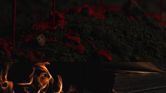 恐怖吃瓜特效视频大全,惊悚瞬间！恐怖吃瓜特效视频大盘点  第2张