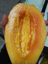 沫雪在线吃瓜,揭秘娱乐圈幕后故事 第2张 沫雪在线吃瓜,揭秘娱乐圈幕后故事 第2张