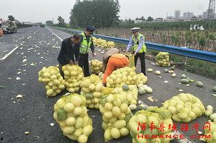 许昌疫情吃瓜事件,网络舆论的狂欢与反思