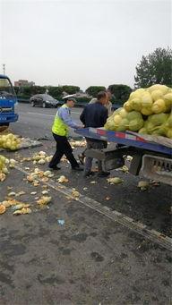 许昌疫情吃瓜事件,网络舆论的狂欢与反思  第2张