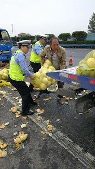 许昌疫情吃瓜事件,网络舆论的狂欢与反思  第3张