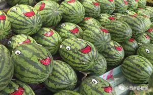 看瓜和吃瓜古诗  第3张