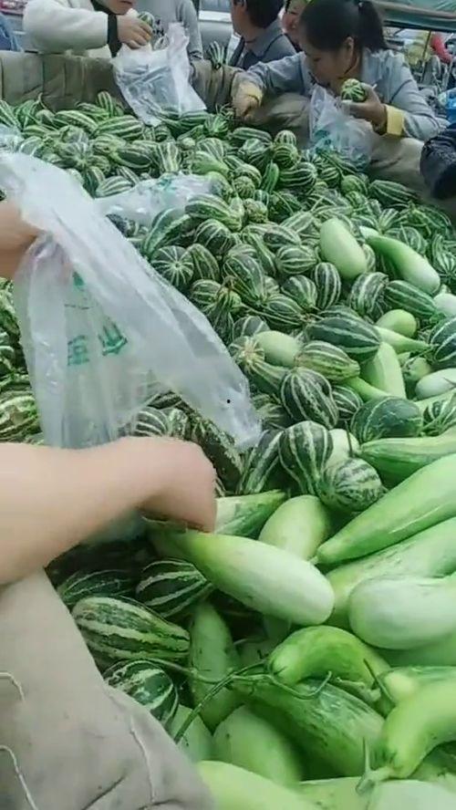 工程大叔吃瓜,揭秘工程界的趣味瞬间  第2张