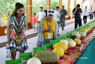 新疆吃瓜群众视频大全,趣味横生的日常生活剪影  第3张