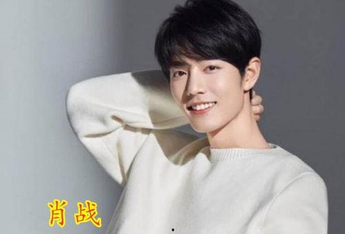 陈泽吃瓜粉丝,揭秘明星幕后故事，粉丝视角下的娱乐圈风云