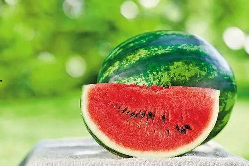 西乡固戍吃瓜 第2张 西乡固戍吃瓜 第2张