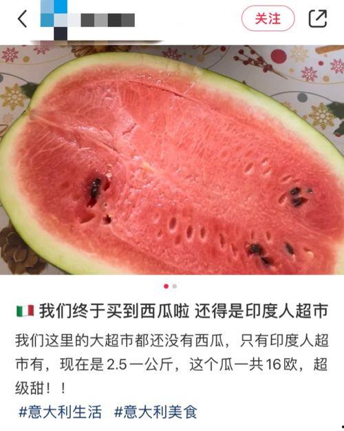 国外在哪里吃瓜,全球各地“吃瓜”文化大揭秘 第2张 国外在哪里吃瓜,全球各地“吃瓜”文化大揭秘 第2张