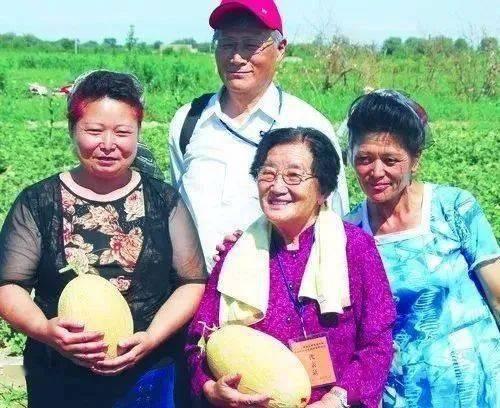 带着同事吃瓜,与同事共享的欢乐时光  第2张