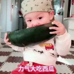 幼儿吃瓜的视频,童趣满满