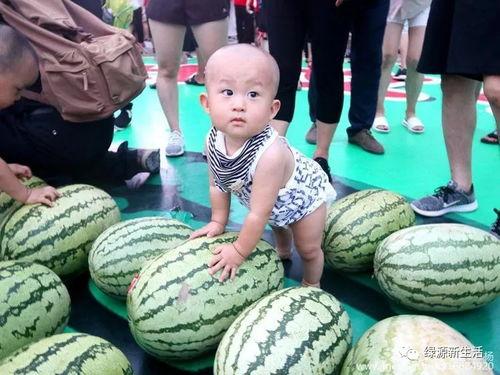 吃瓜鑫鑫  第3张