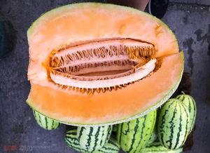 红衣哥吃哈密瓜