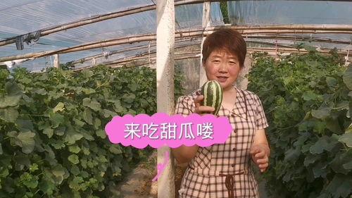 福建吃瓜大妈是谁,福建吃瓜大妈引发全网热议