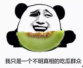 天天当个吃瓜群众  第2张