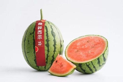 天津吃大瓜,大瓜风味,舌尖上的津城诱惑 第3张 天津吃大瓜,大瓜风味,舌尖上的津城诱惑 第3张