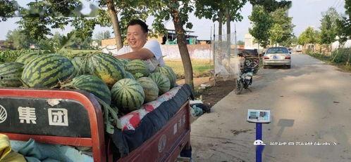 郸城吃瓜事件真相,揭开真相背后的惊人内幕 第3张 郸城吃瓜事件真相,揭开真相背后的惊人内幕 第3张