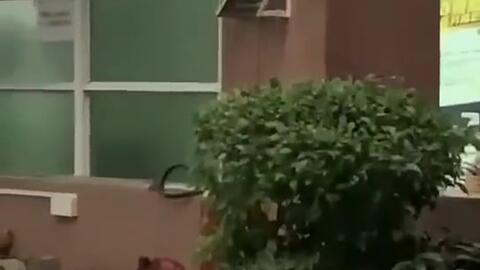 嵊州吃瓜新闻,揭秘当地奇特风俗背后的故事 第2张 嵊州吃瓜新闻,揭秘当地奇特风俗背后的故事 第2张