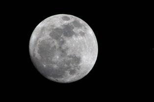 超级大月亮吃瓜,一场吃瓜盛宴背后的神秘事件