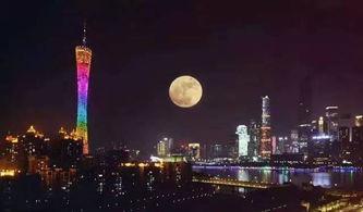 超级大月亮吃瓜,一场吃瓜盛宴背后的神秘事件  第3张