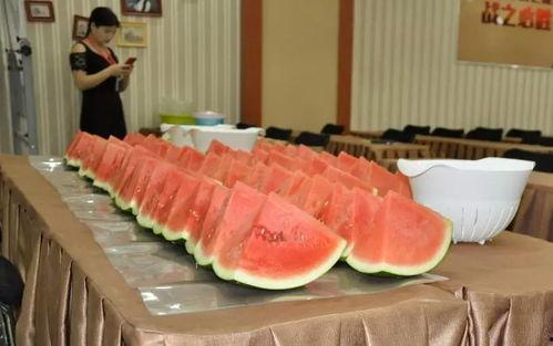 大型吃瓜比赛视频,一场视觉与味蕾的双重盛宴  第2张